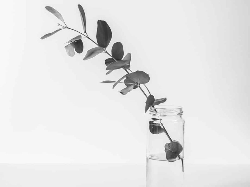 Seemple* Music for iPad